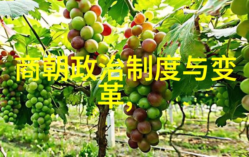 血雨泪痕重温407事件的悲剧