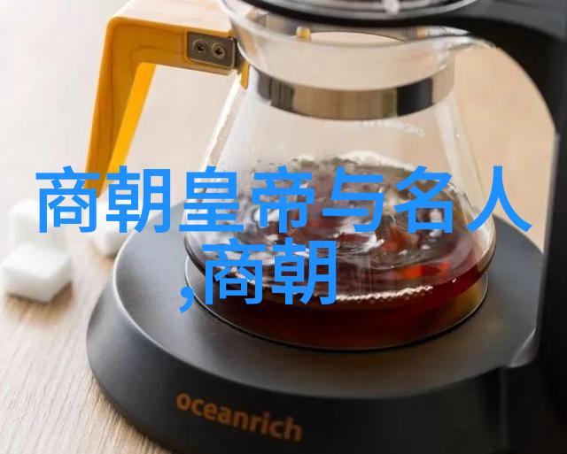 宋朝奇谭录揭秘帝王宠爱与民间传奇