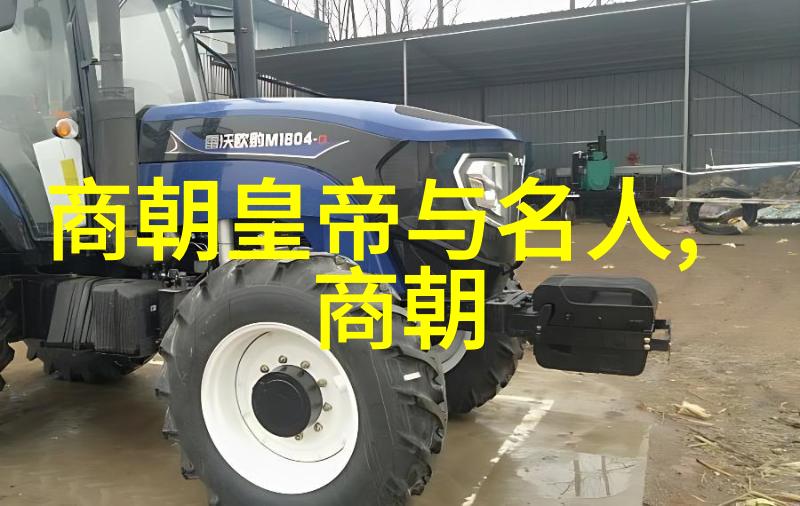元朝辉煌与暗影顺序的错位与年号的裂变