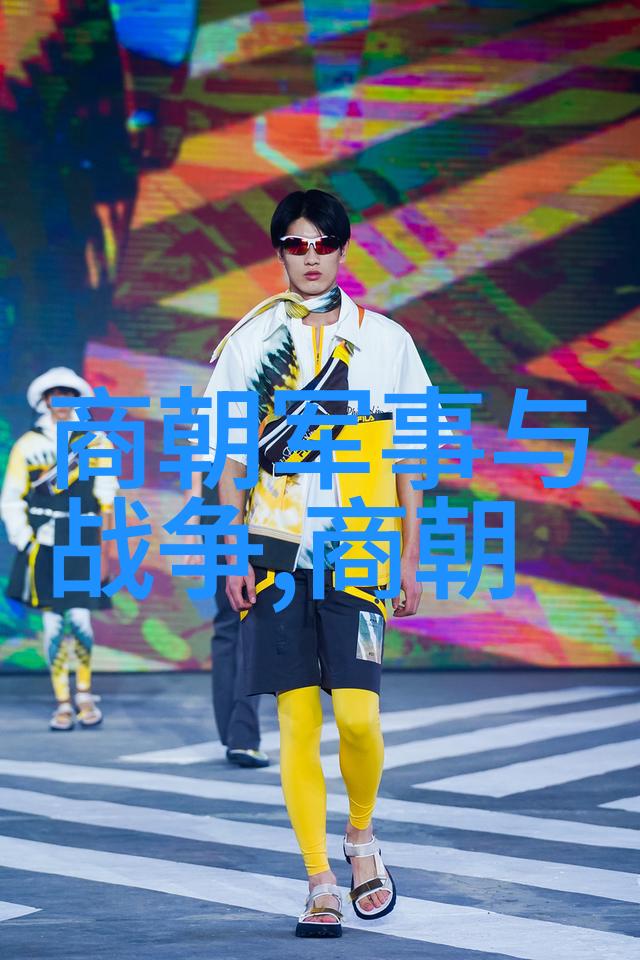 元朝的崛起从忽必烈称帝到版图扩张