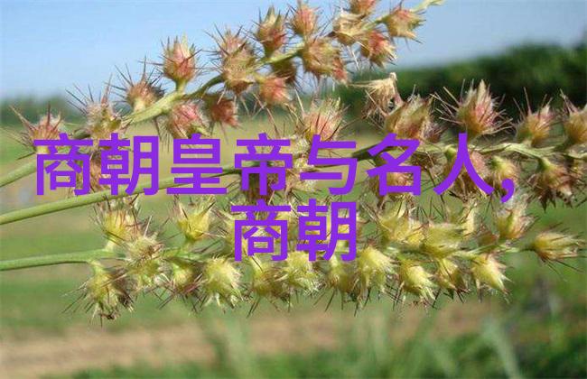 最自私的君主朱元璋的专制之路