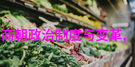 大清朝顺序帝制盛衰与王朝变迁