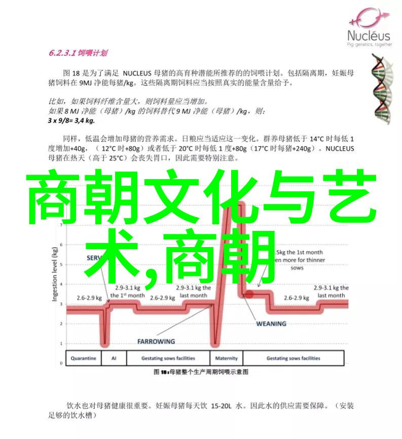明朝最好的帝王是谁-明代君主评析仁义与治国的平衡
