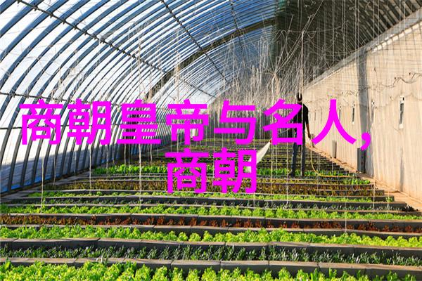 明朝将领能力排名从武英公到李成梁谁是最优秀