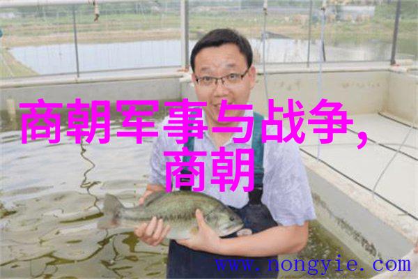 明朝盛世与衰落从朱元璋到崇祯一个千年帝国的兴衰史