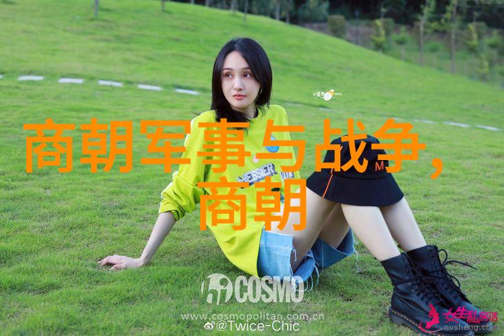 南宋历史简介中国历史上的最后一个南朝建立于1127年至1279年灭亡