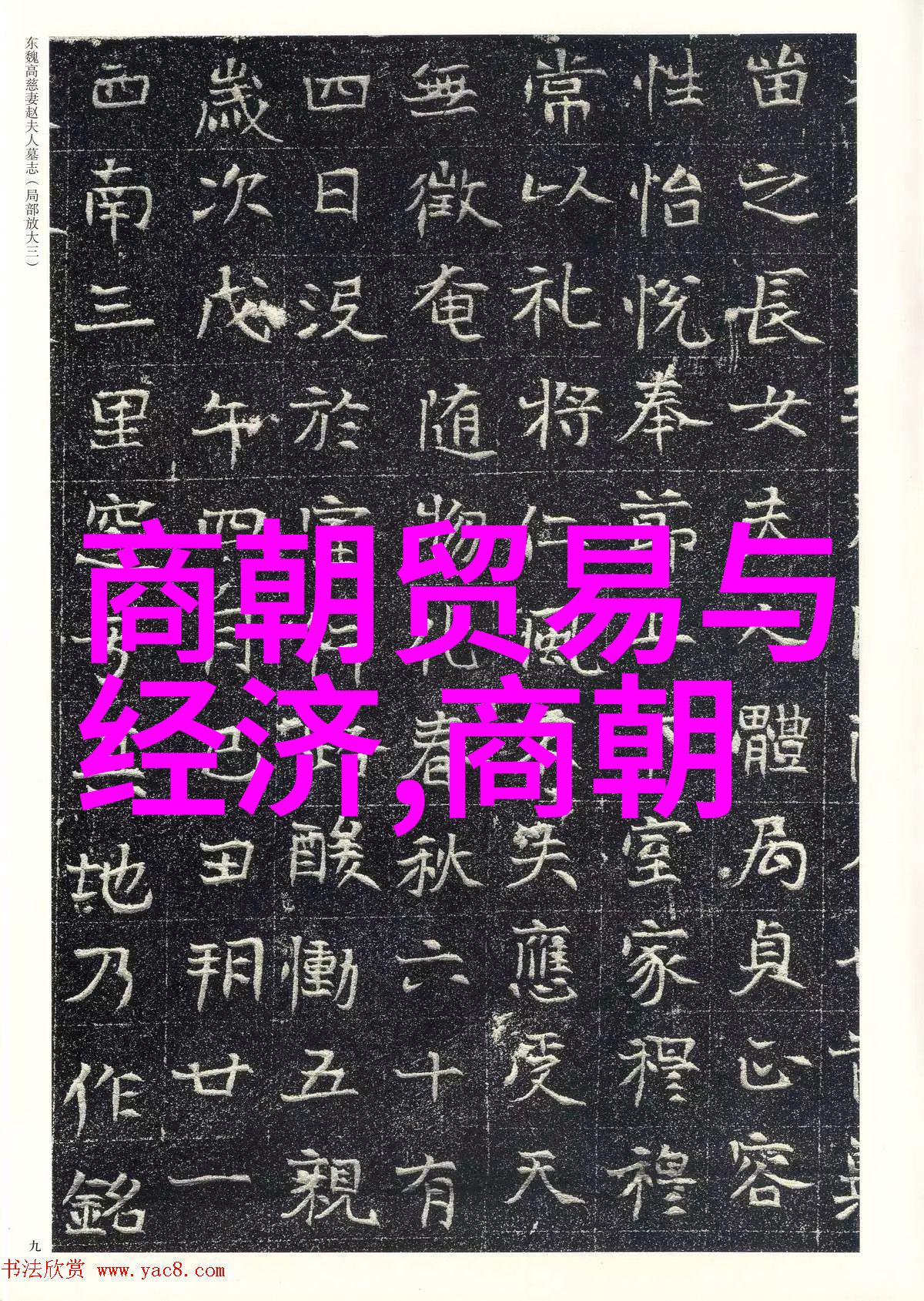 不知道的历史的有趣故事-揭秘古代神秘文明玛雅人与太阳的舞蹈