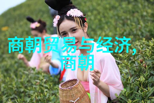 明朝盛世与衰败从朱元璋到崇祯的兴衰交替