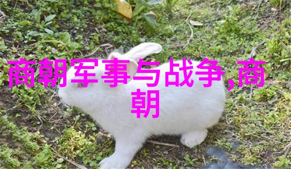 中国古代哪个朝代名人最多郑玉12981358
