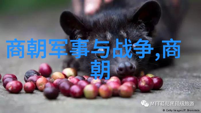 明朝那些事儿小说免费阅读-穿越时空的历史探秘揭开明代宫廷与民间的神秘面纱