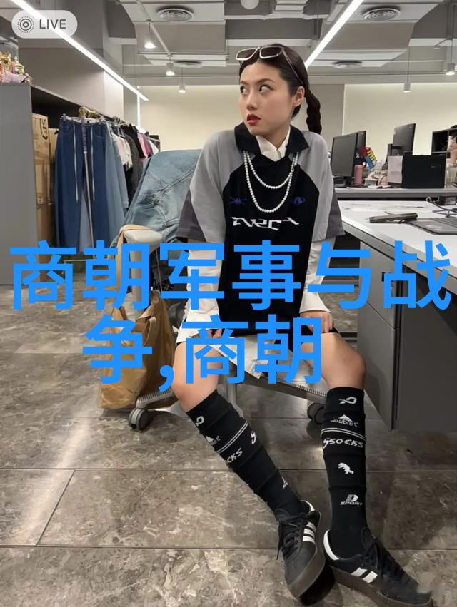 中国明朝 一览表-明代简史权力斗争与文化繁荣