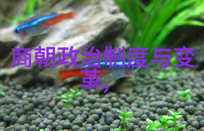 元朝辉煌历程的回响与探索