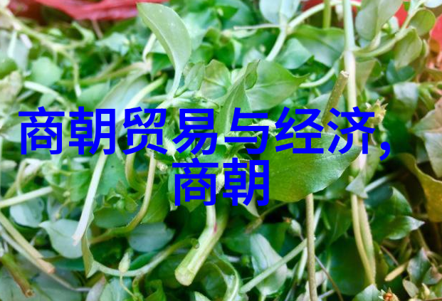 历史的错综岳飞与靖康之耻之间的关联探究