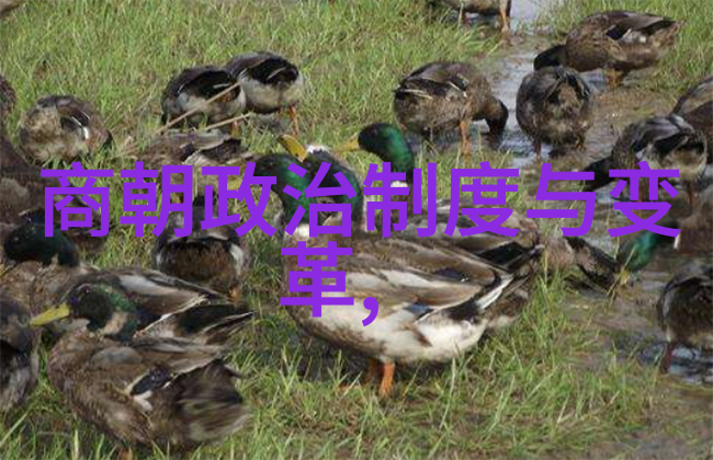 中国朝代历程时光长河中的帝王篇章