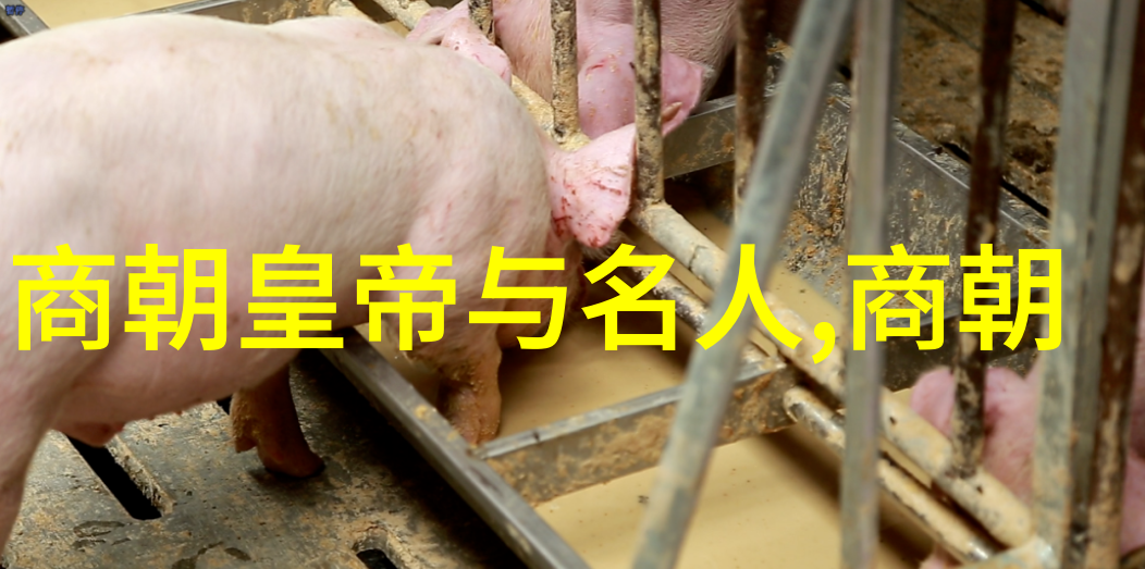 明朝那些事儿历史上的明朝传奇故事