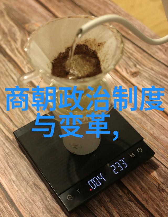 探索明朝风云读书心得的深度思考