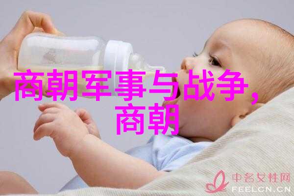 元朝帝王史話評書鐵脊馴龍中的真實歷史事件有哪些