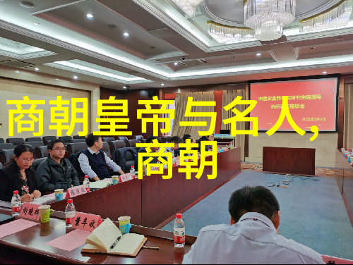 明朝的阴影探索黑暗这一历史标签