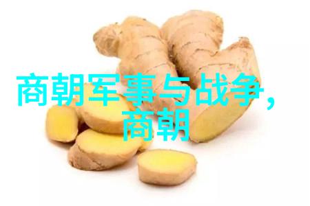 明朝那些秘密故事背后的历史真相