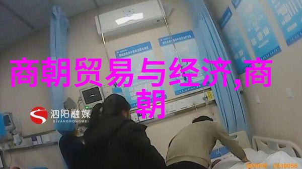 探秘历史风云免费阅读明朝那些故事的奇妙之旅