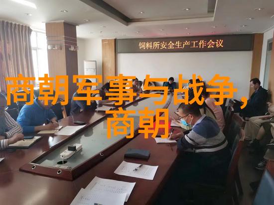南诏国覆灭的历史被宋朝所征服的故事
