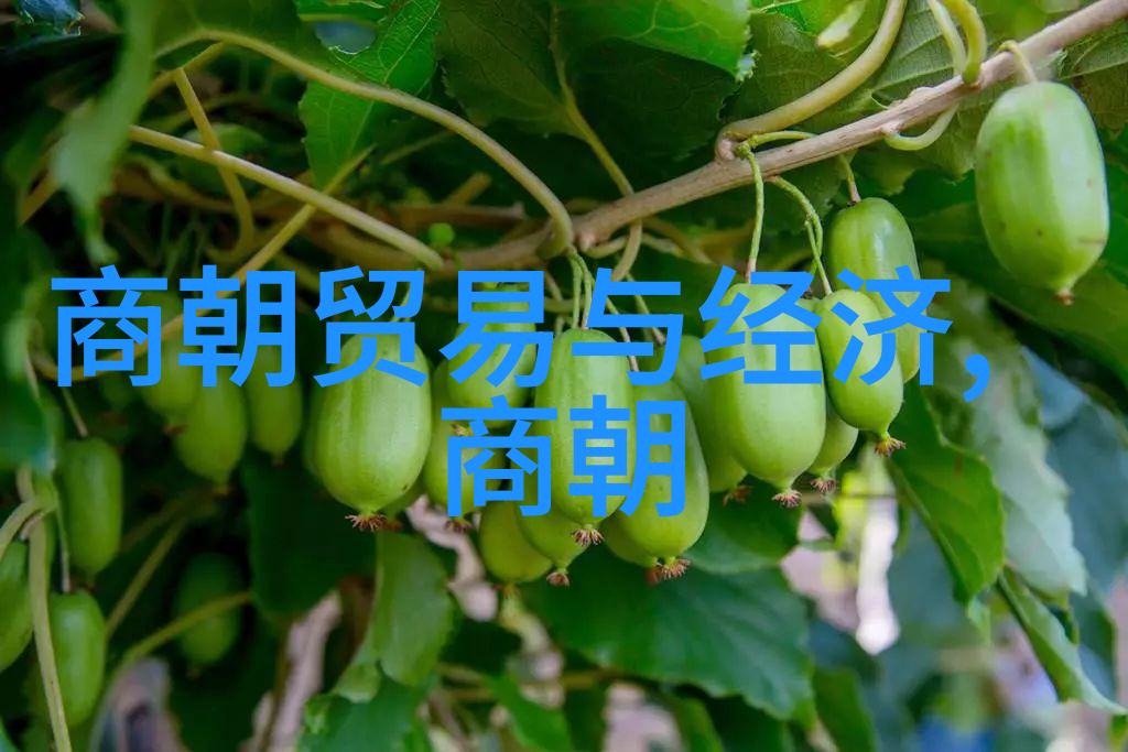中国古代四大才子中的傒斯奇迹智慧的火花照亮1274年至1344年的岁月
