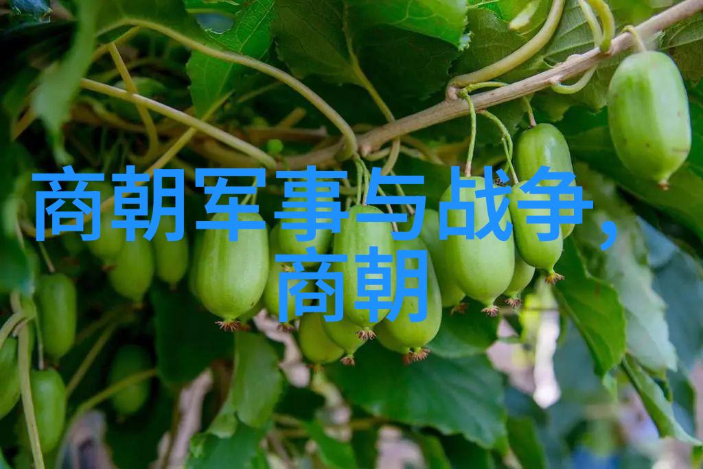 明朝重要事件发生顺序-时光剪影重温明朝的辉煌与坎坷