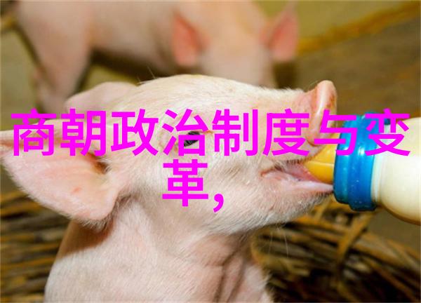 南宋与北宋历史探秘从金庸笔下看两宋兴衰