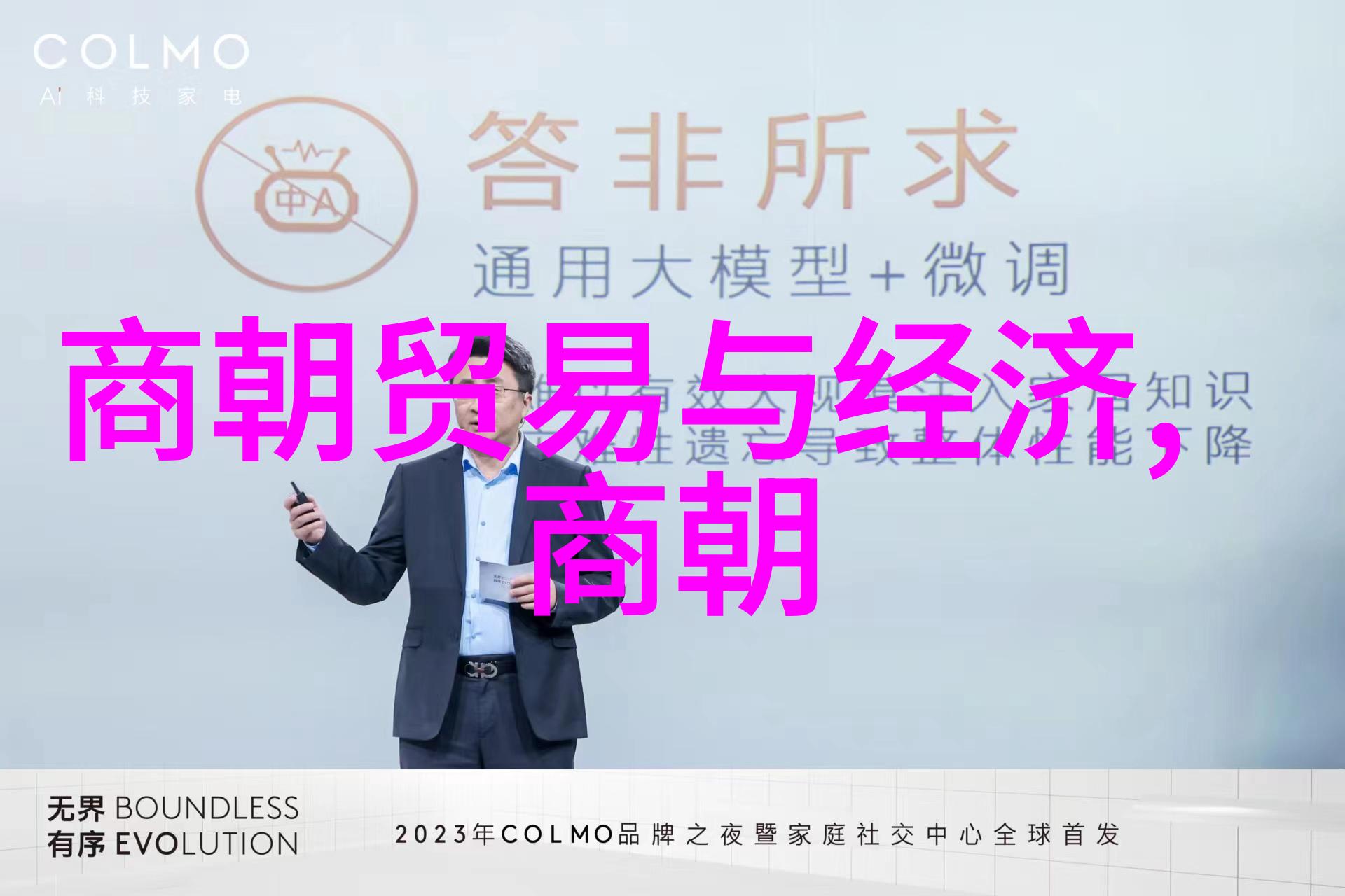 土木堡之战历史上的血与火的交锋
