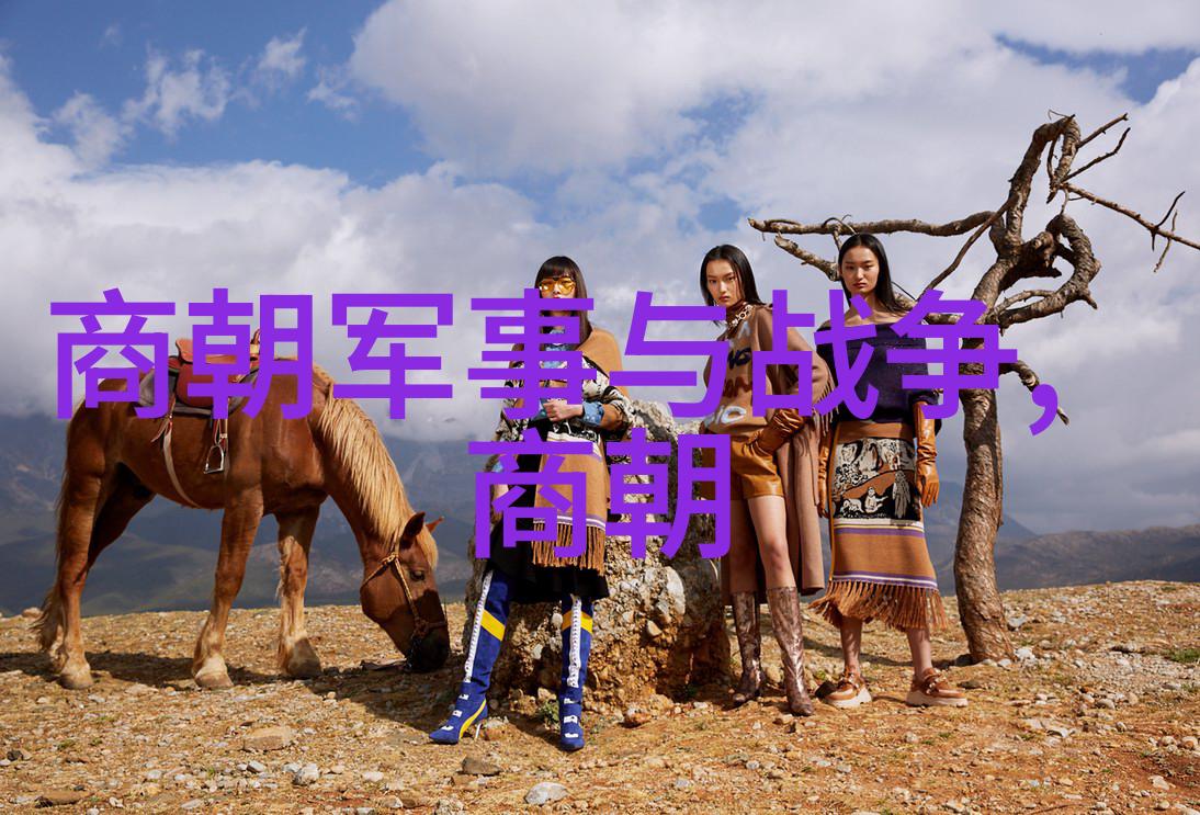 全国学籍管理系统的智慧之光陈彦博