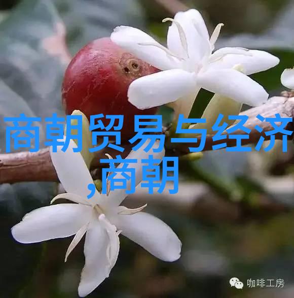 黄继光的故事与北欧神话中的守望者对立而生双方交织成一幅丰富多彩的神秘画卷