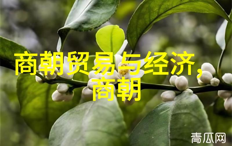 明朝皇位继承制度演变史