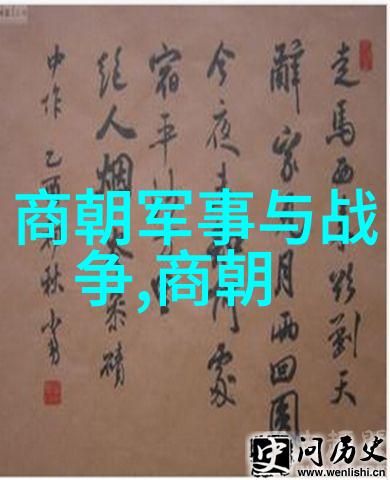 探秘明朝历史视频播放的艺术与智慧