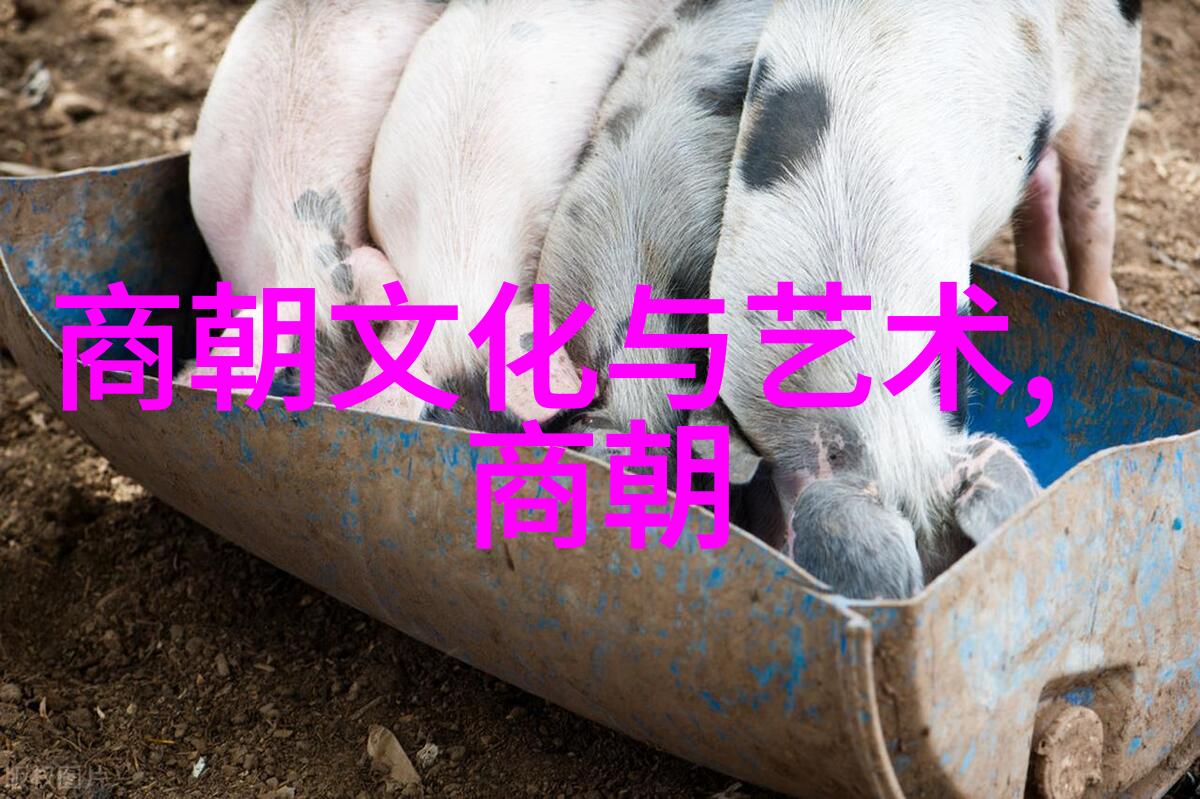 明代历史的深度解析名人书评中的真实故事与历史考证
