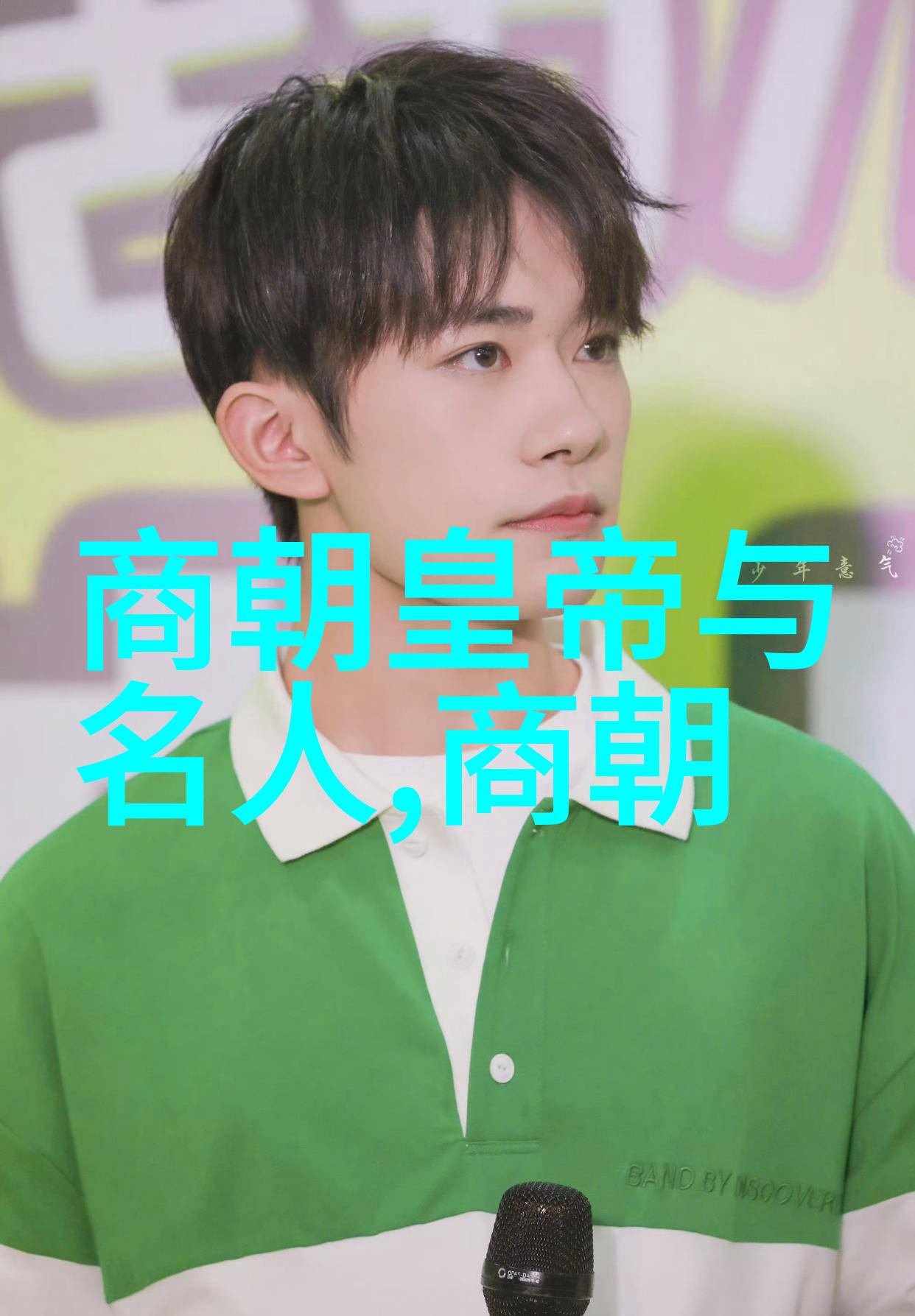 征服内忧外患的不同路径从历史角度审视并评价两位王者