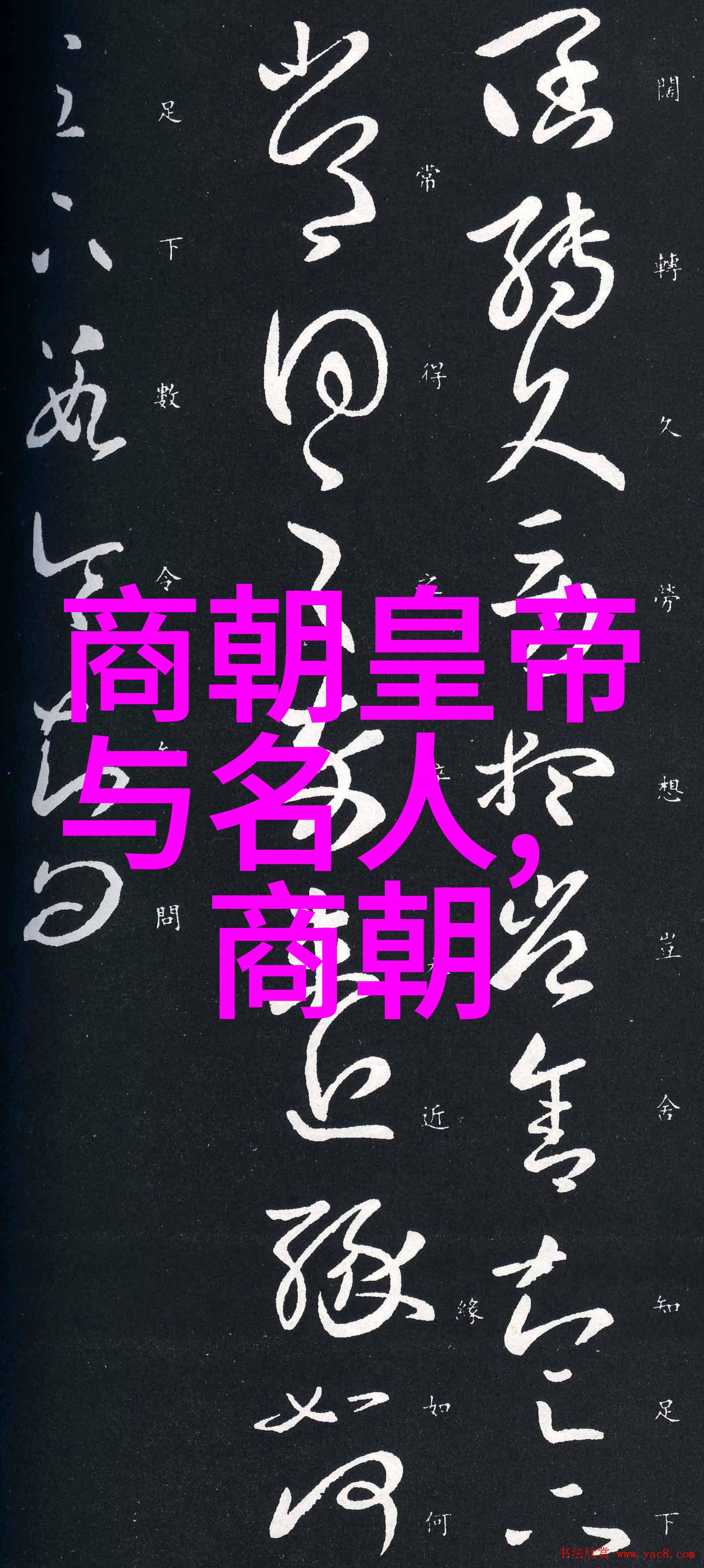 宋朝历史探秘揭秘千年盛世的智慧之光宋朝历史App深度解析