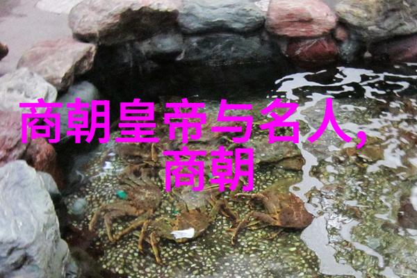 明代的辉煌与衰落从洪武到崇祯的历史探究