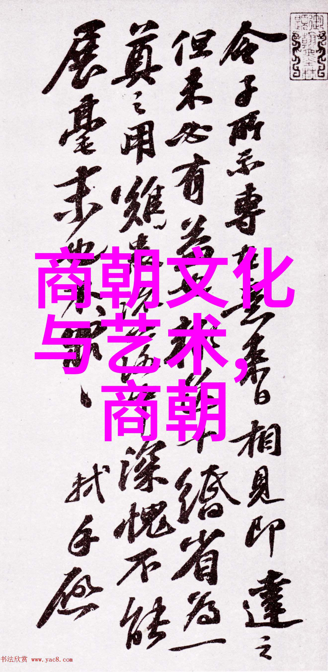 公交车上意外的2小时视频之旅乘客遭遇长时间视频播放困扰