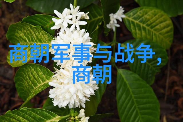 元朝覆灭的三大根源民族融合破裂财政赤字危机与自然灾害连连