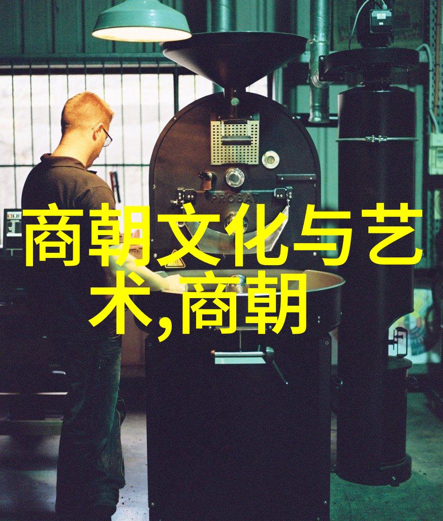 宋代文化遗韵探索千年历史的艺术与智慧