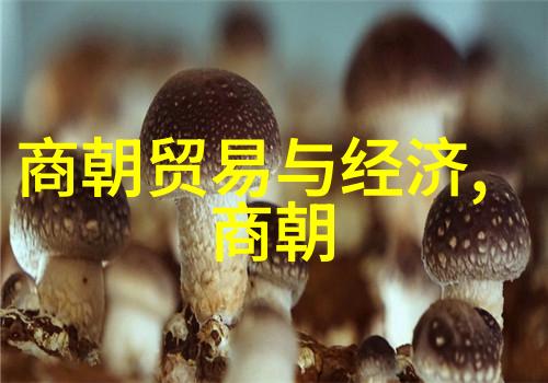河南豫剧大全合集中的传奇演员朱桂芹旦行天花板的翘楚