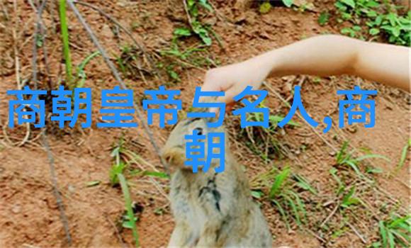 明朝盛世大闹天宫笑傲江湖的皇帝与他的忠臣们