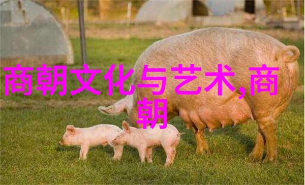 明朝16位名君 - 龙凤呈祥探秘明朝十六位皇帝的辉煌与沉浮