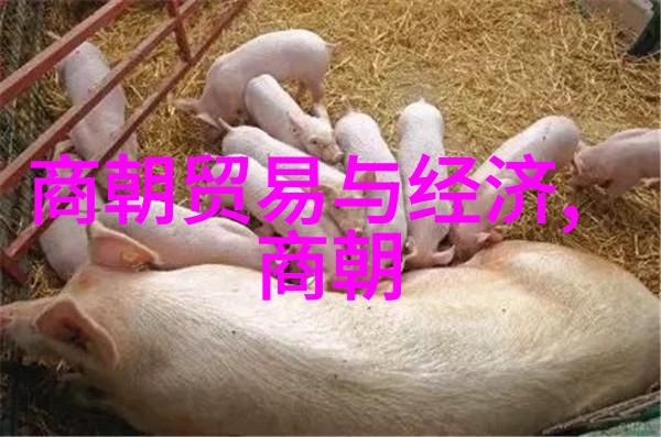 明朝待明朝只愿卿卿意逍遥世间又有几人能自在云端