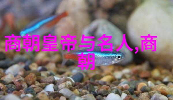 古代帝王的宠儿一段神秘的皇室故事