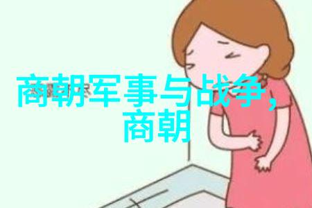 宋朝历史app穿越时空的史海浏览器