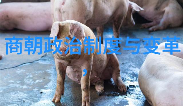 数据驱动周佑君京剧演唱会  马派老生穆雨再现