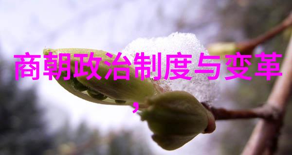 在历史长河中哪些事件最显著地影响了南明朝政局