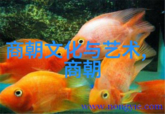 明朝的崛起与辉煌从朱元璋到光绪帝的历史征程