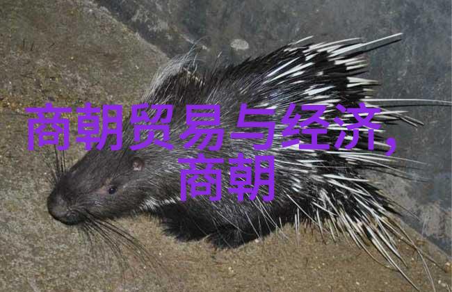 明朝那些事儿MP3版王更新下载解析